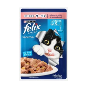Felix Adult Salmon in Jelly Cat pouch (85gm)